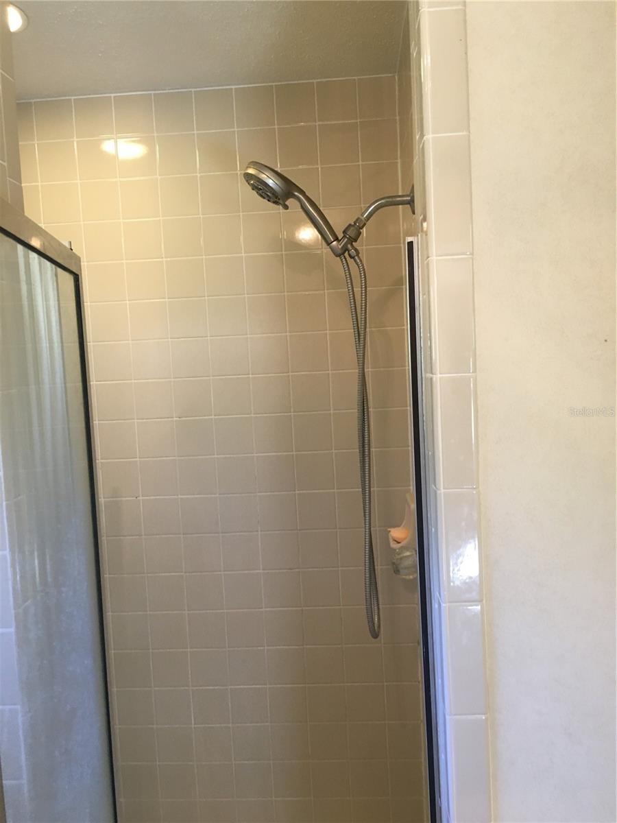 Primary Bathroom Shower