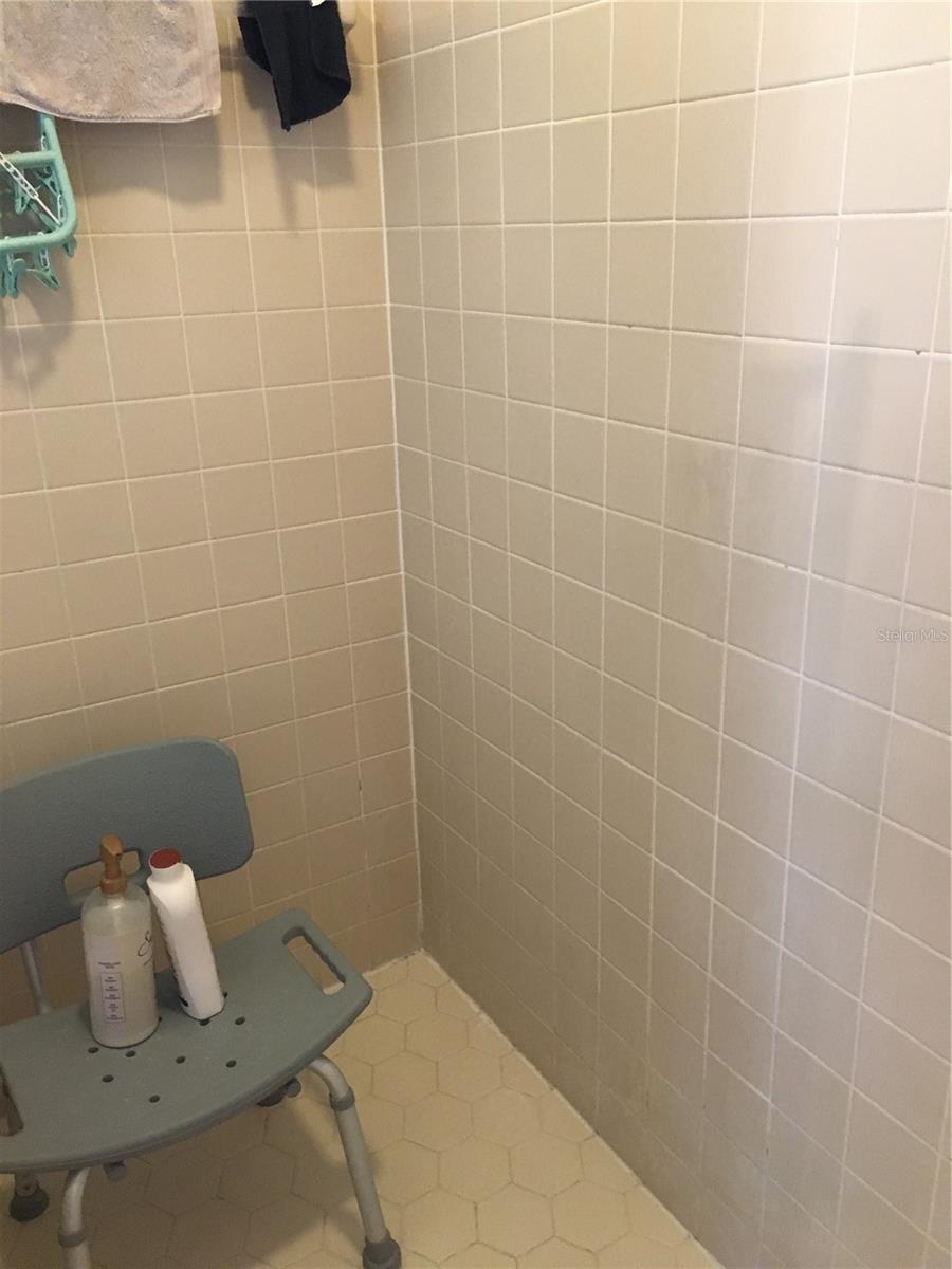 Primary Bathroom Shower