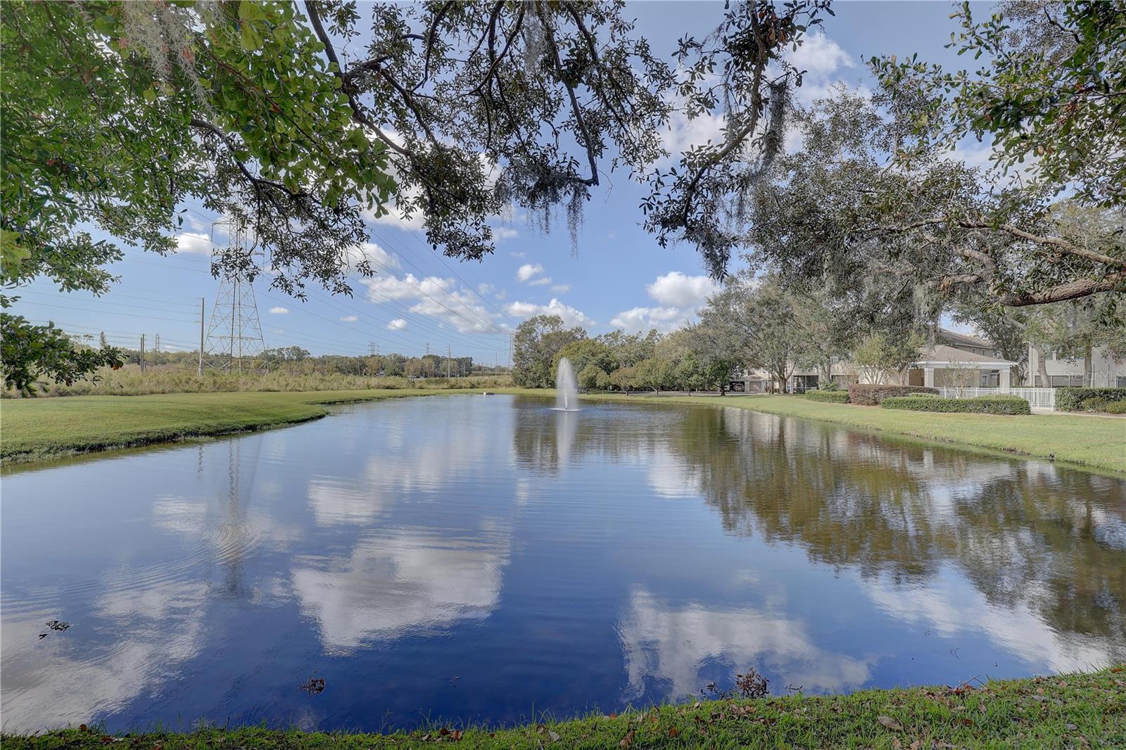 Lovely pond with a fountain