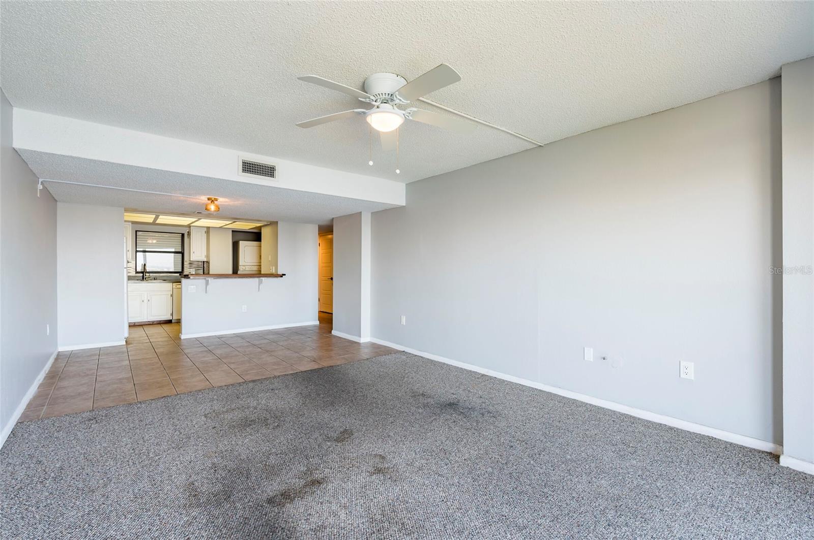 Living Room - Dining Room - Kitchen