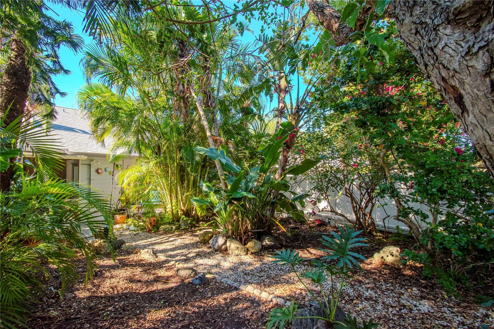 View of the fenced in backyard.