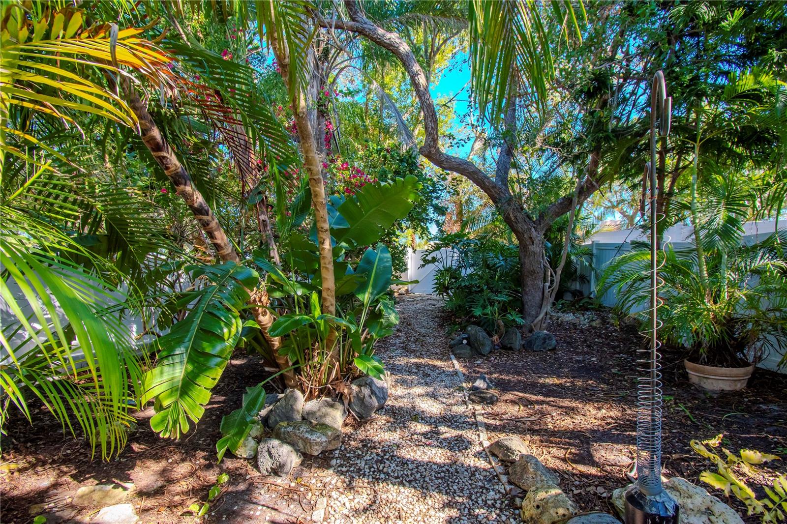 walkway area in the backyard.