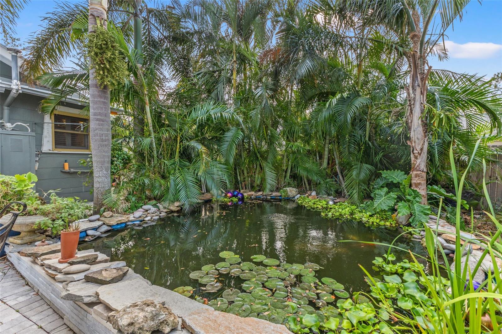 Koi Pond