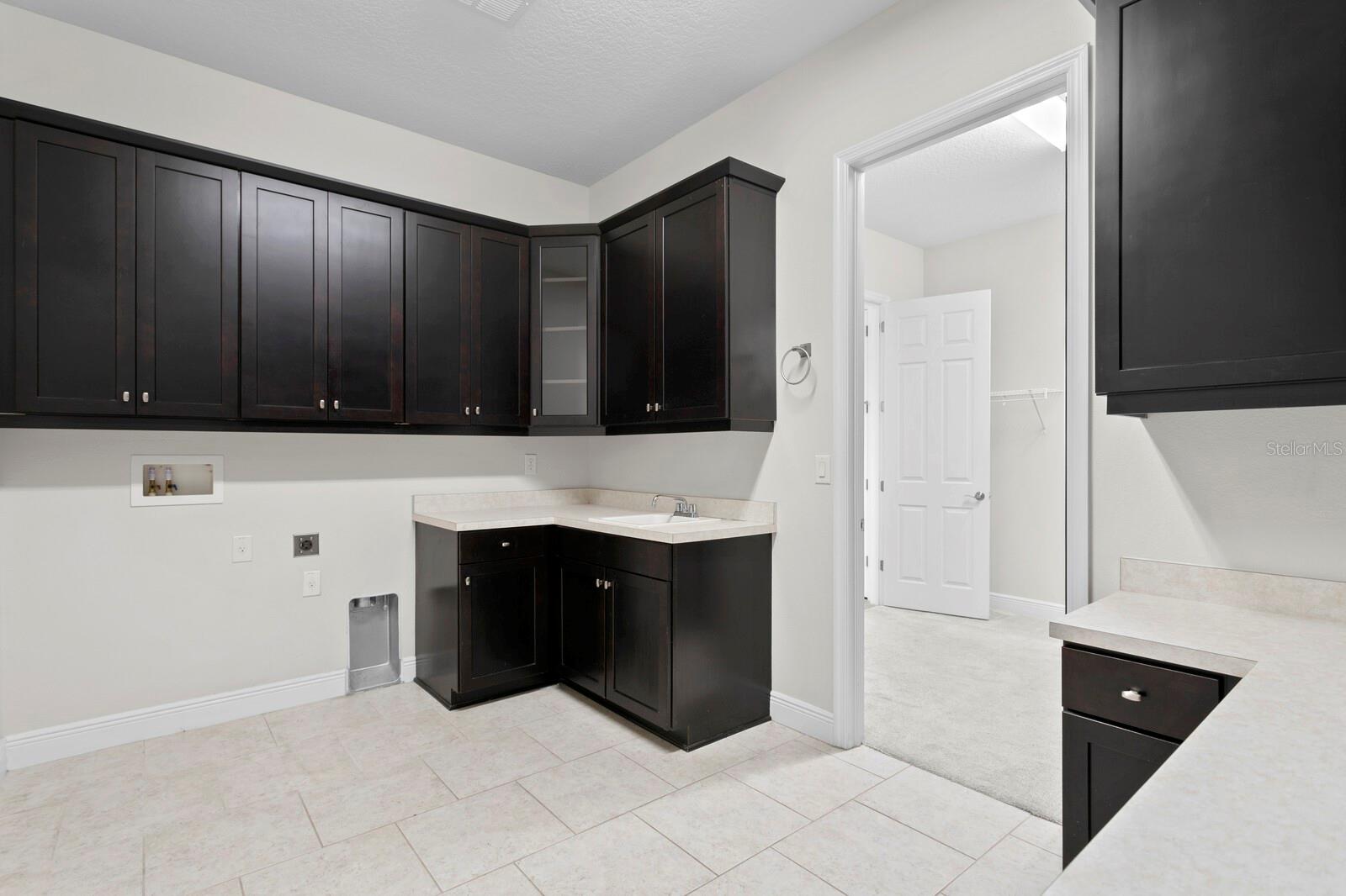 The large utility room offers plenty of cabinet storage, counterspace and convenient access right from the primary suite walk-in-closet