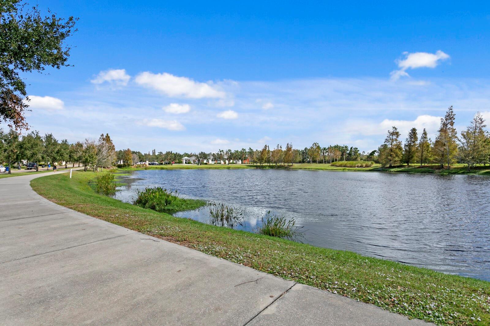 Enjoy this tranquil waterfront view right out of your front door