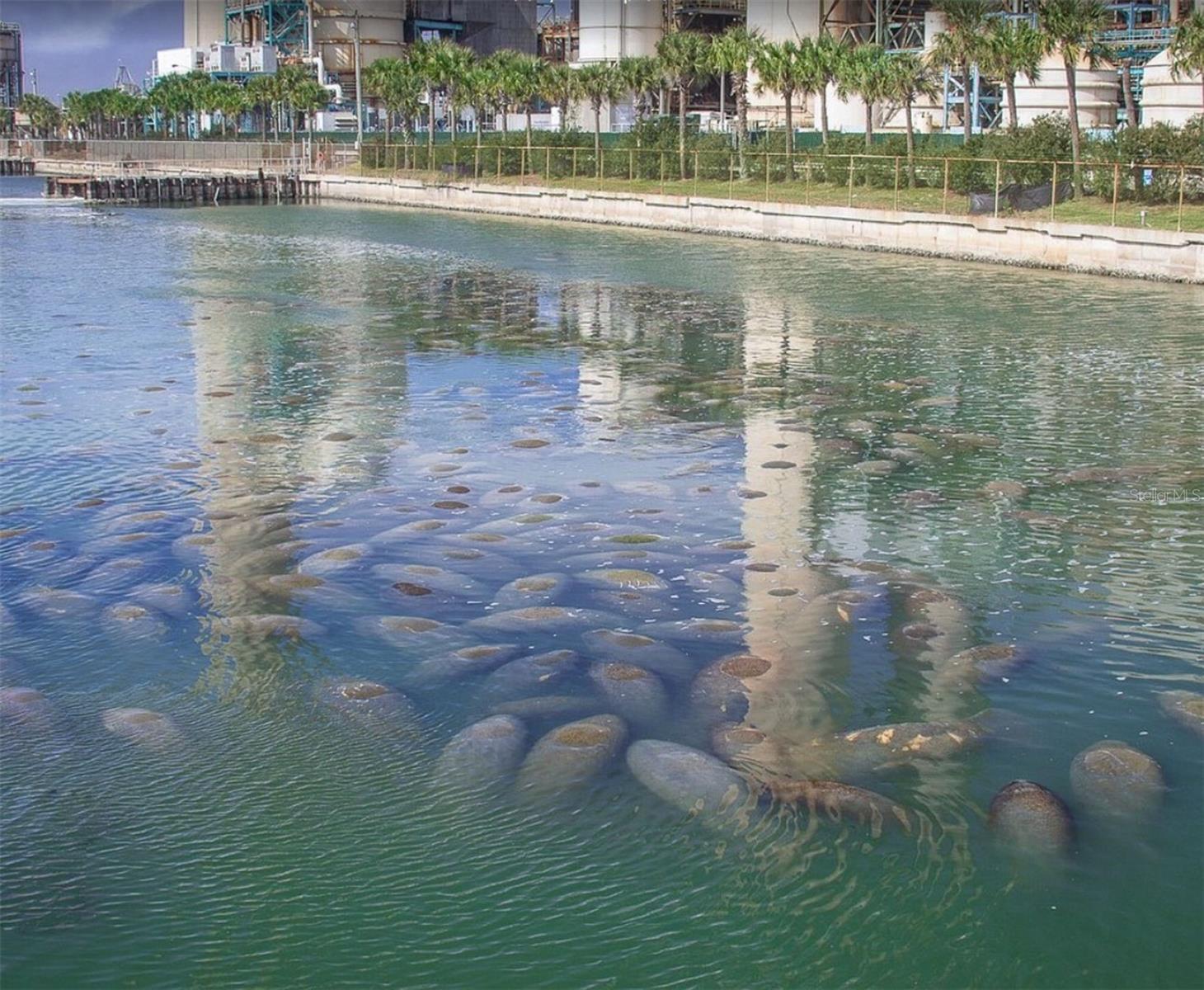 15-minute drive from Manatee Viewing Center