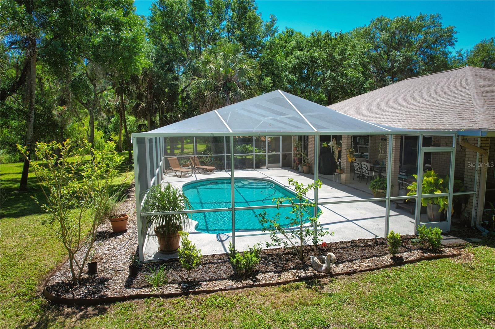 Screen Enclosed Pool