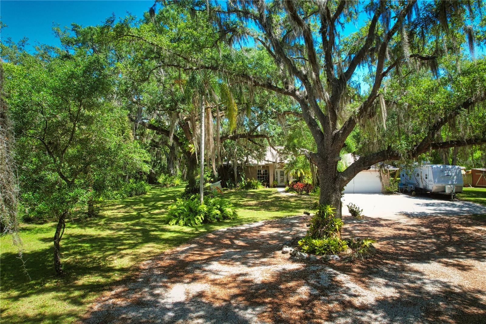 Surrounded by Mature Oaks