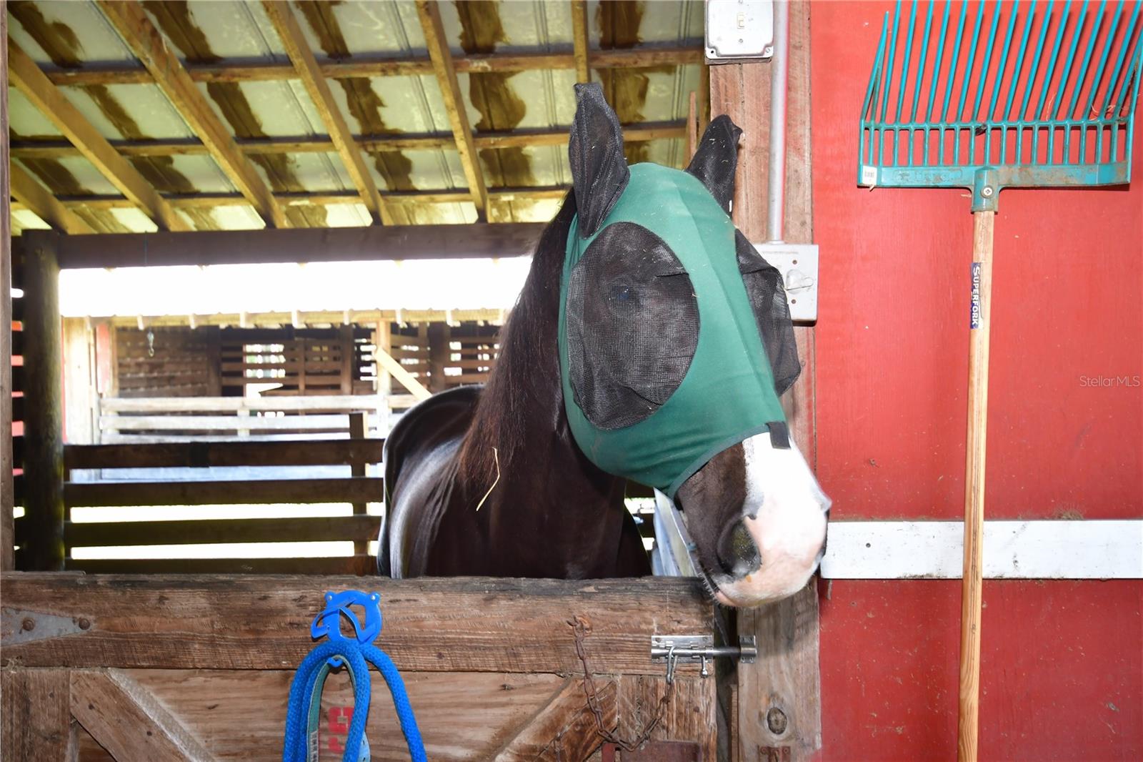 Private Stalls available in the Community Barn