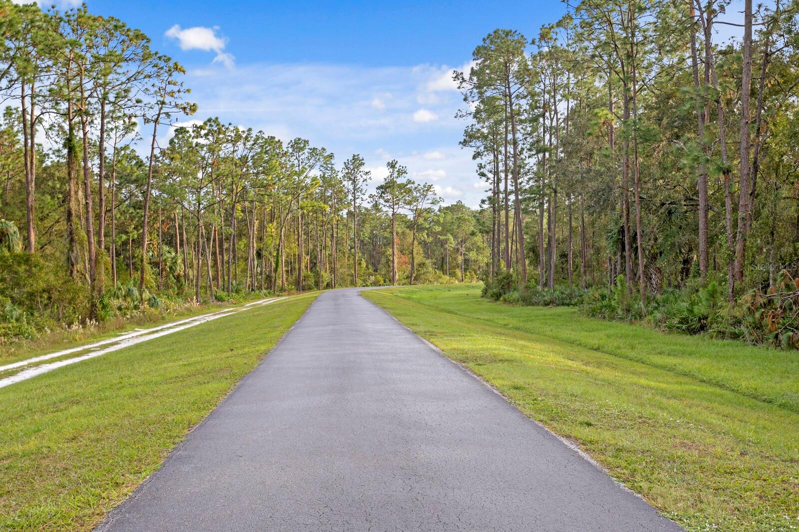 Take in the beautiful forest views at the Flatwoods Site Wilderness Nature Preserve