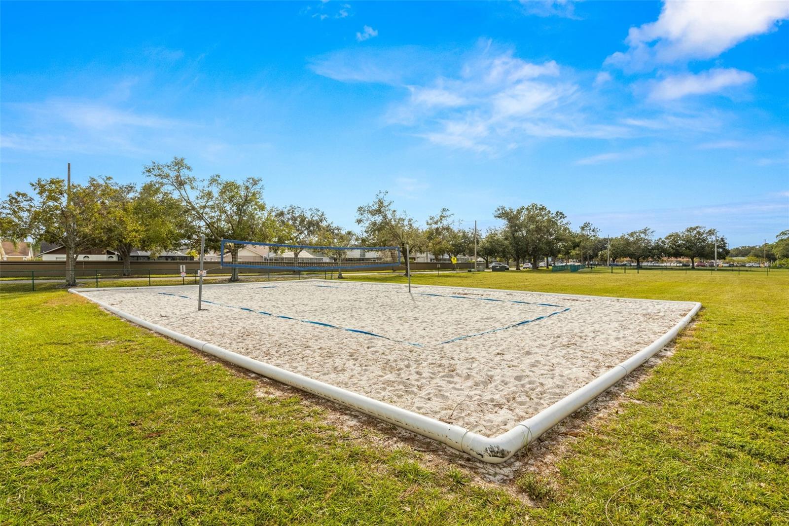 Volleyball Court