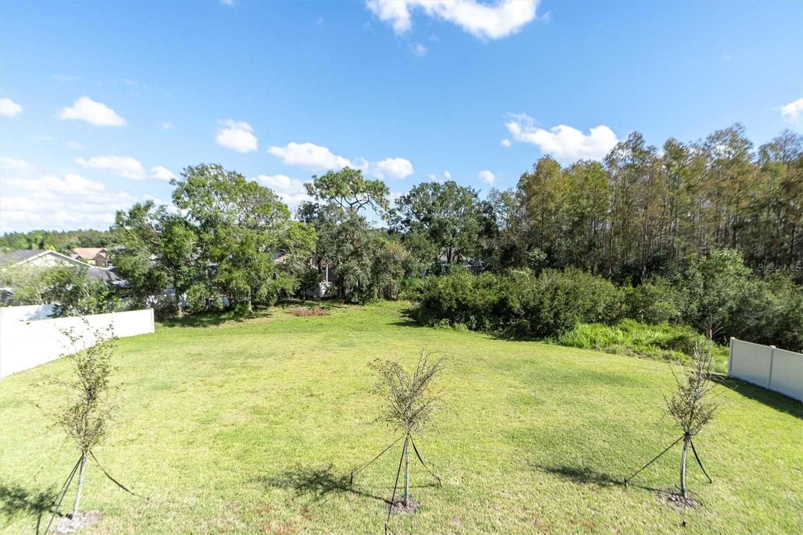 Expansive Yard