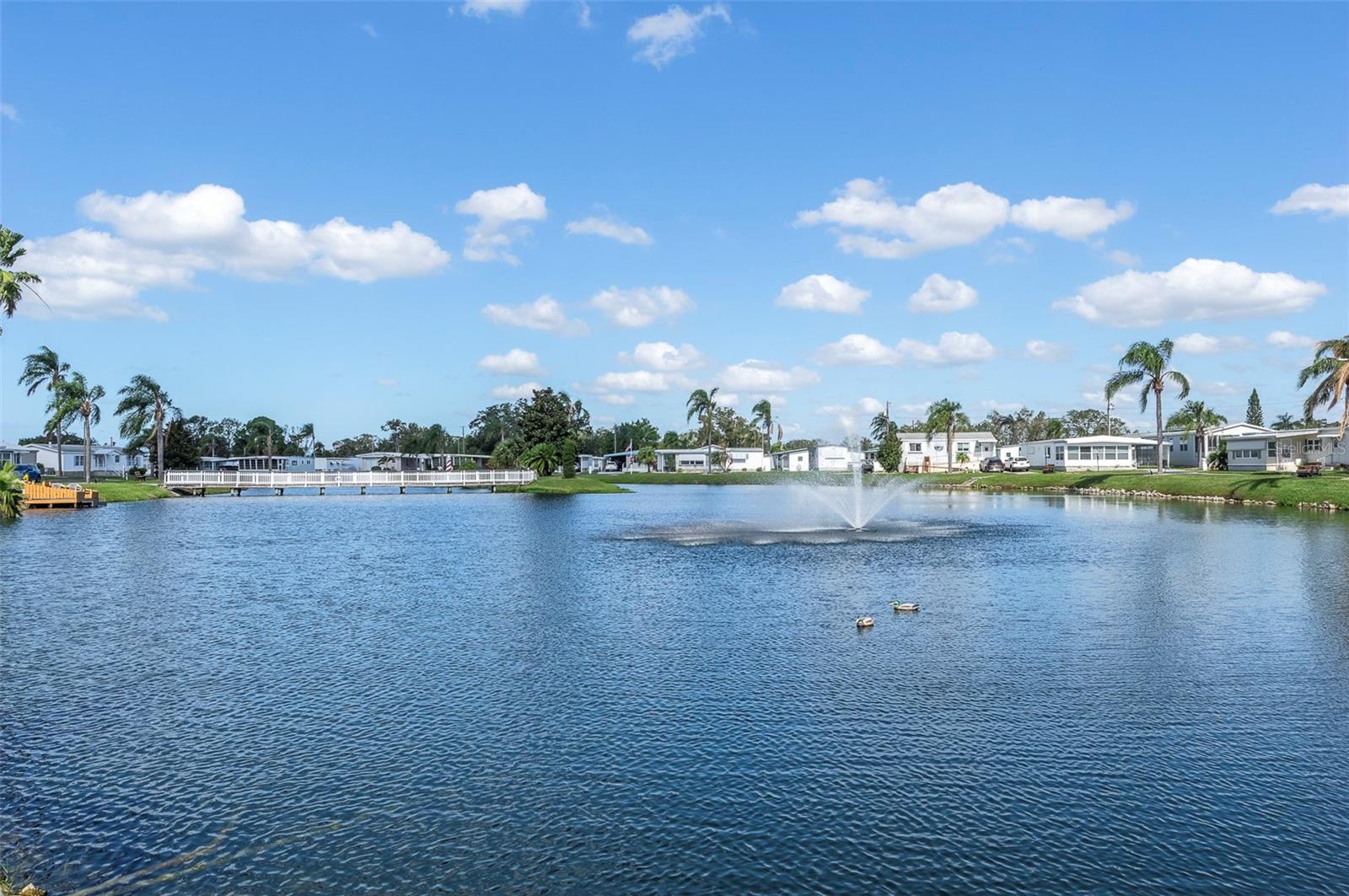 LAKE AND FOUNTAIN VIEW