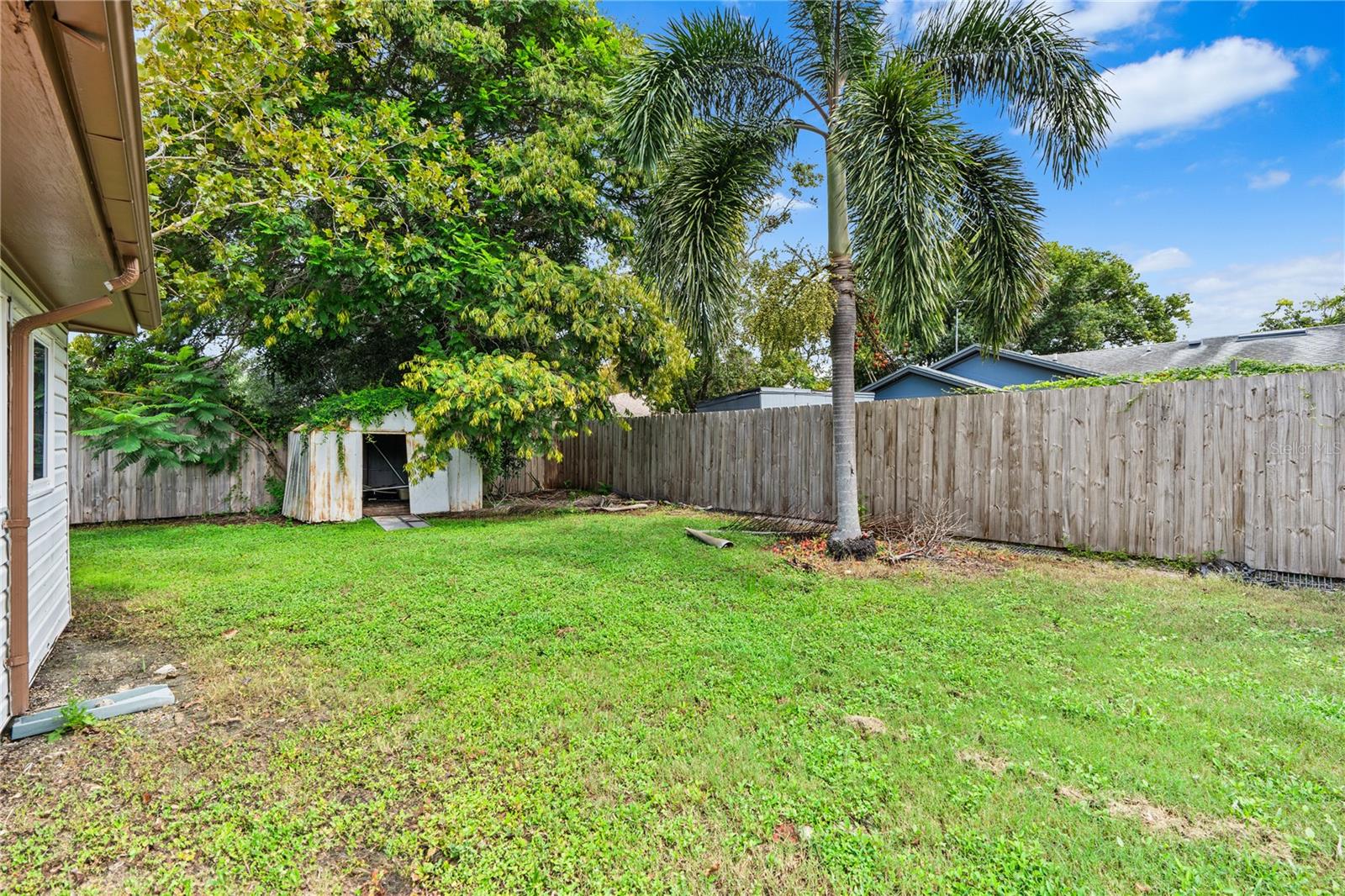 Shed/ Back Yard Area