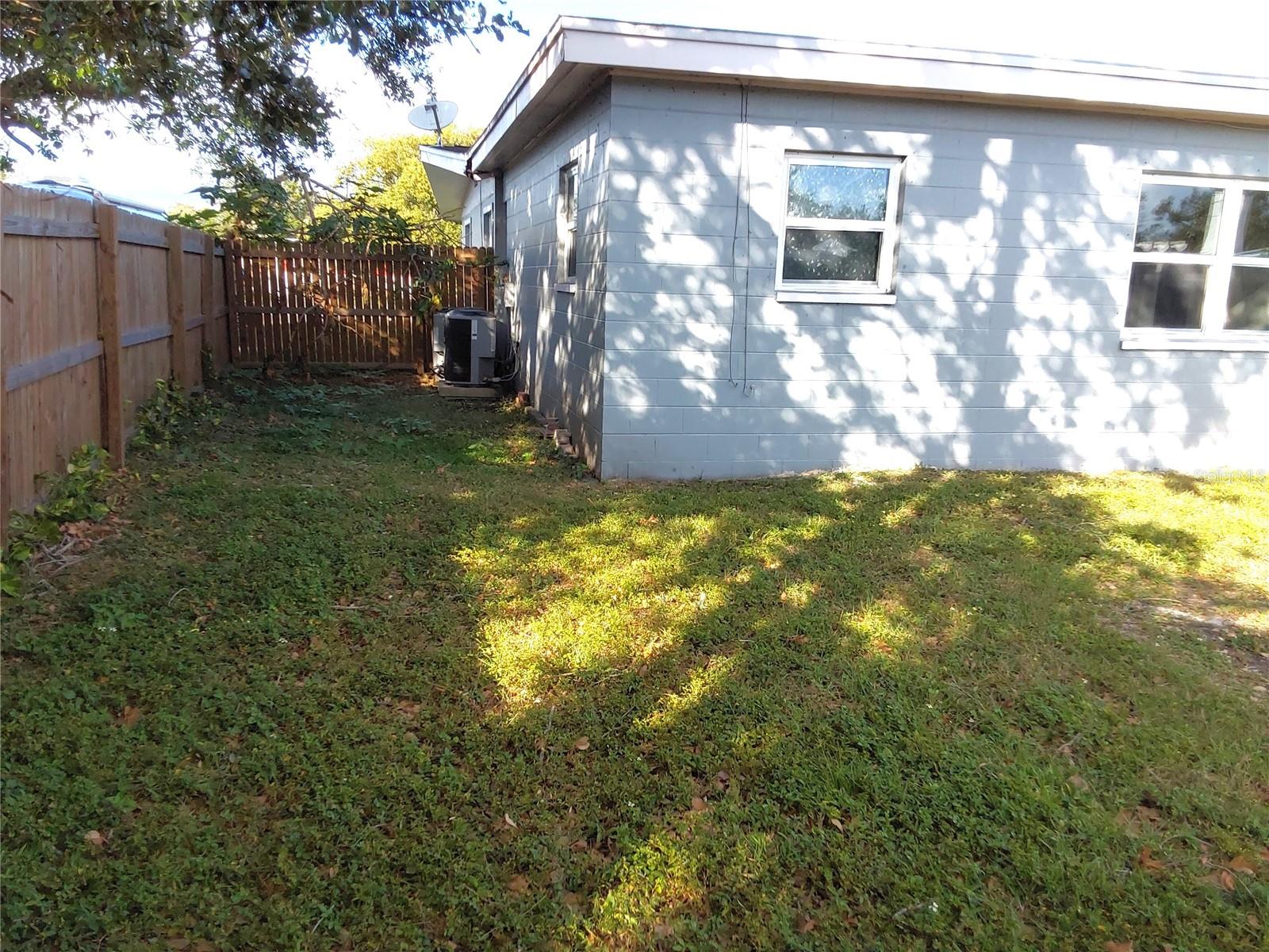 Side yard/Dog run