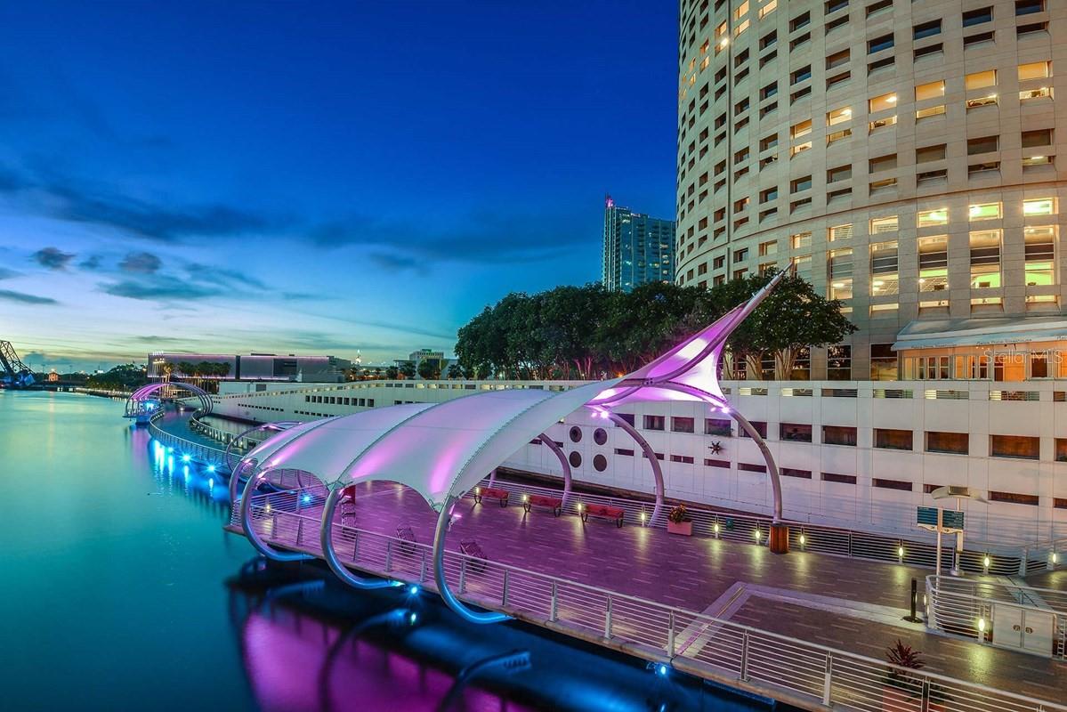 Downtown Tampa and Curtis Hixon Park