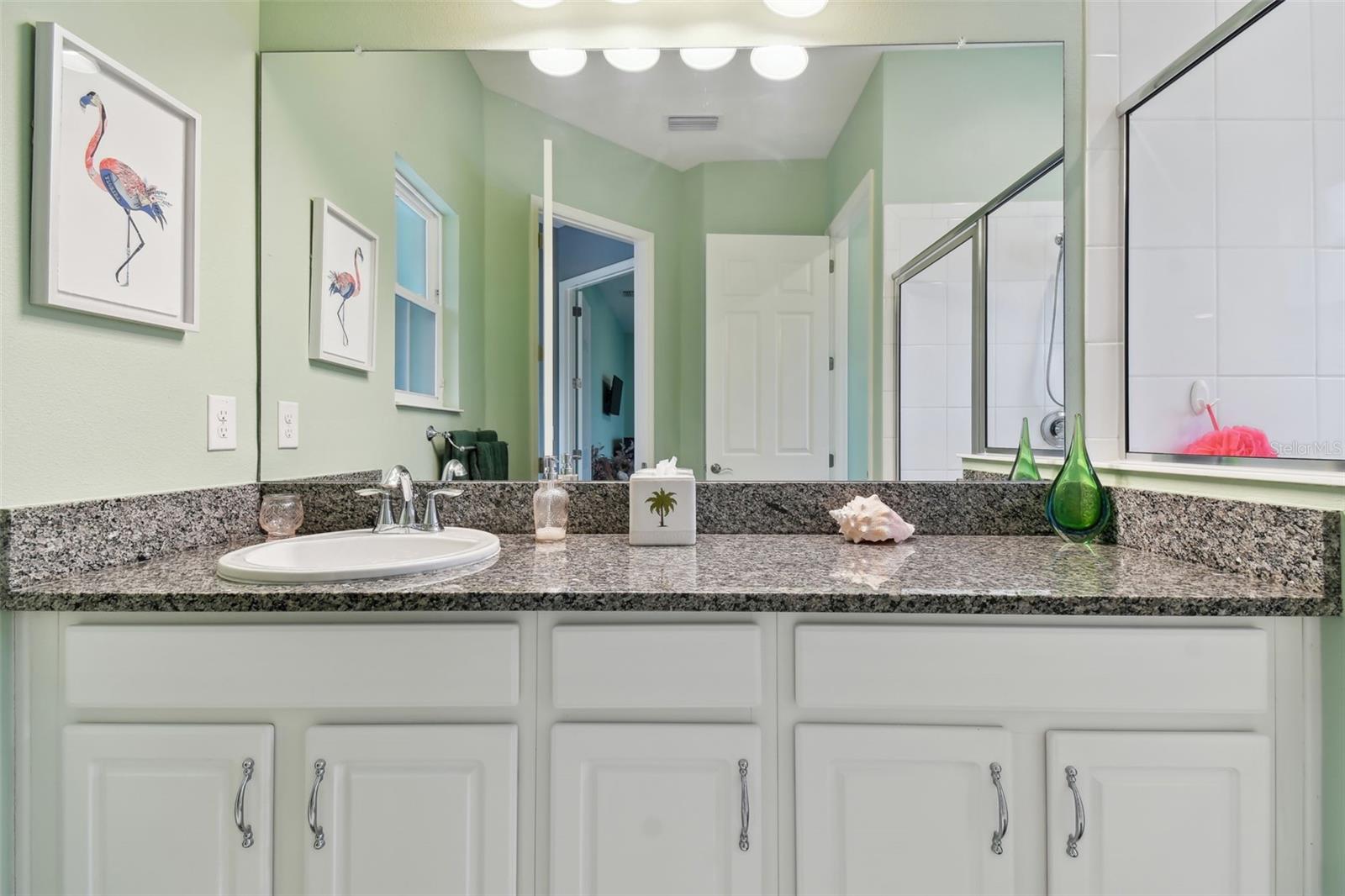 Guest Bathroom (downstairs w/access to Lanai)