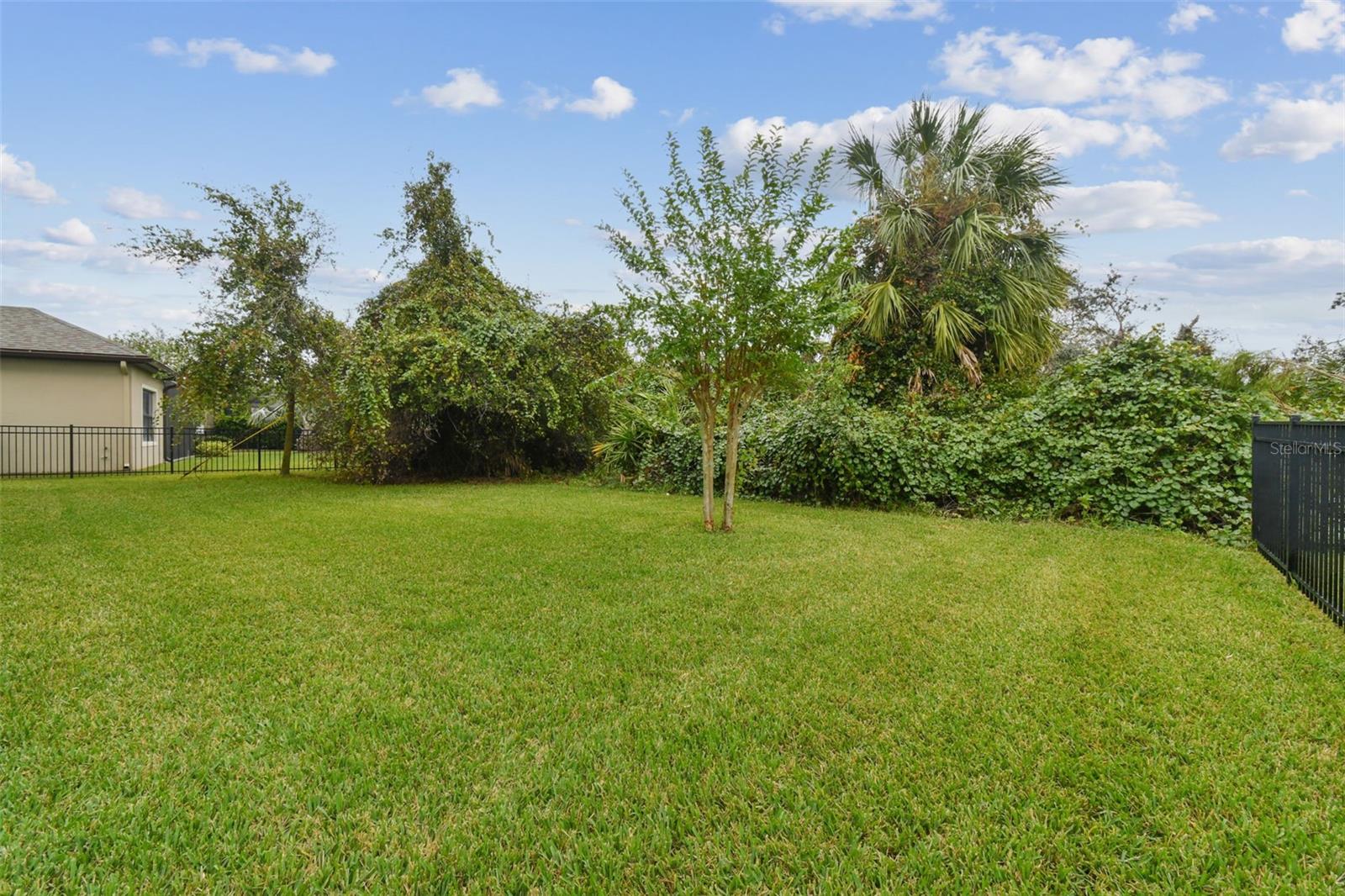 Backyard w/Views of Conservation area