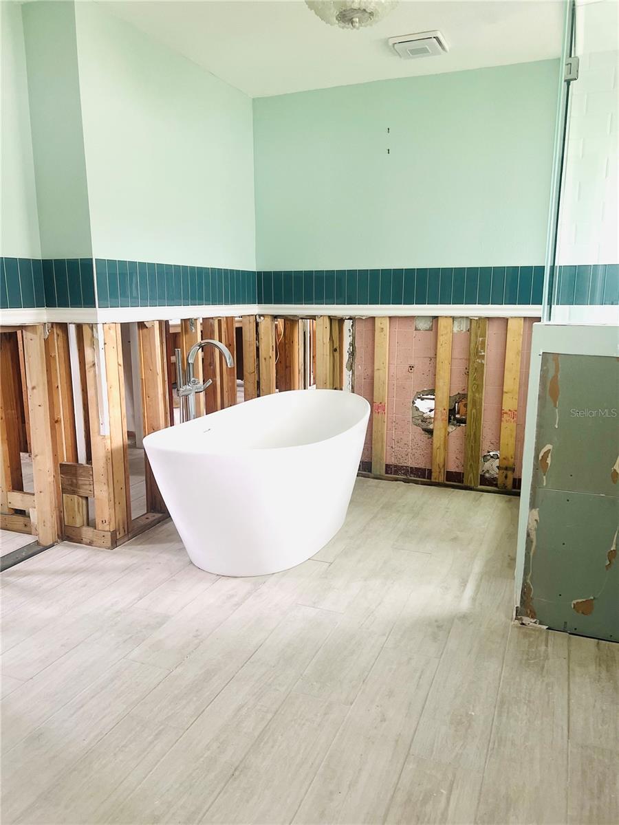 Primary Bathroom Tub area