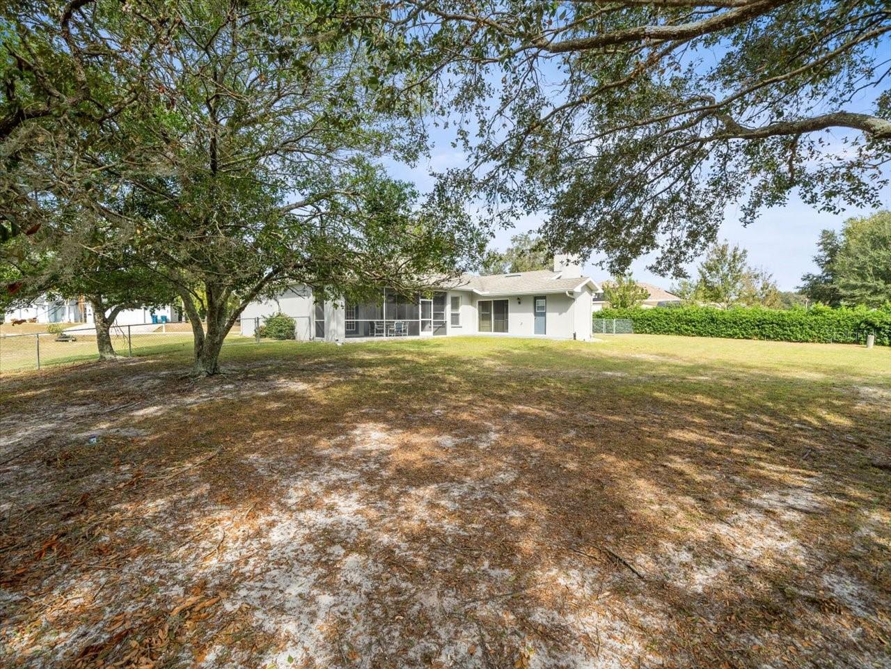 Oversized Fenced in Yard