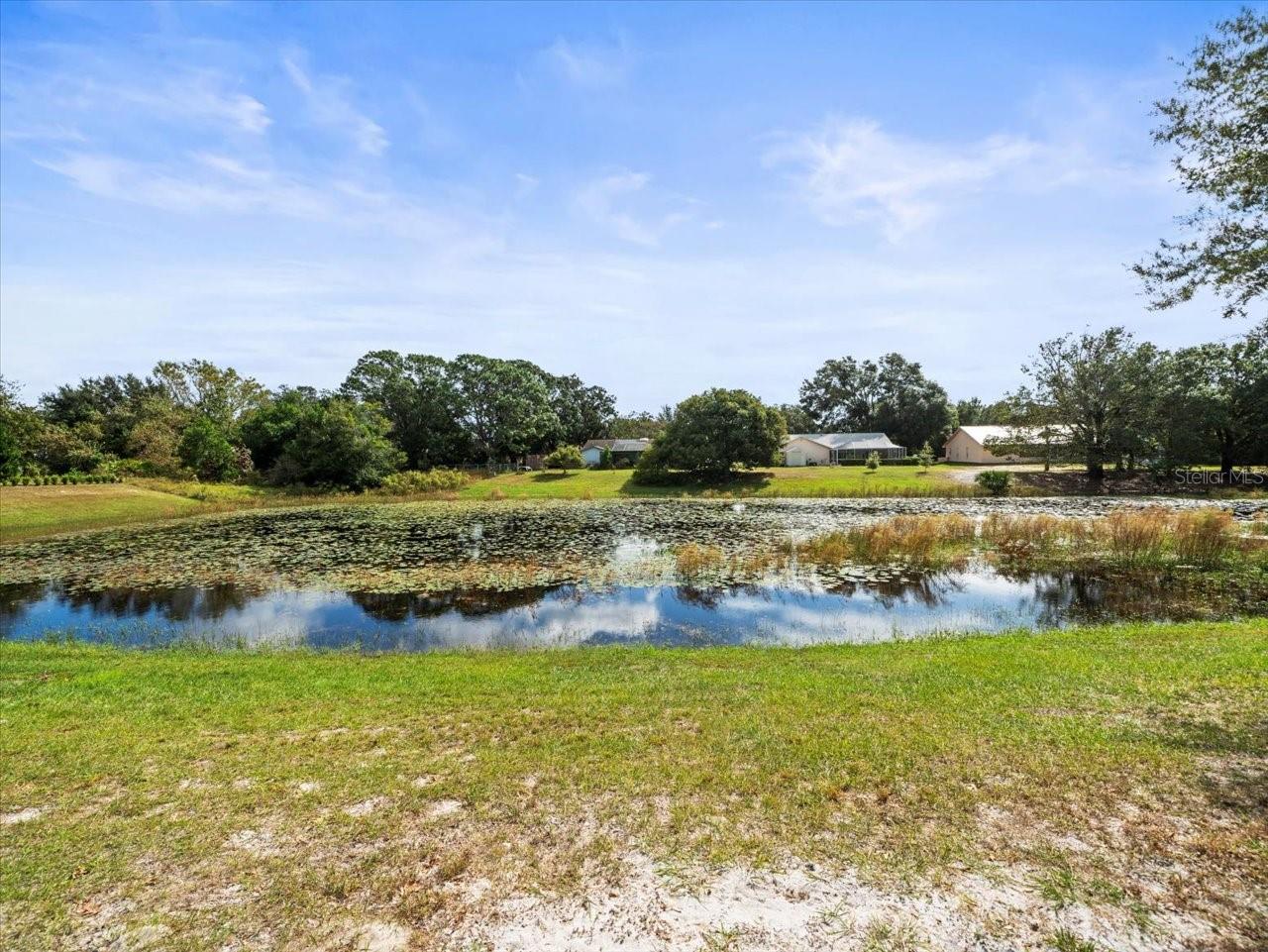 The backyard is adjacent to Lake Century