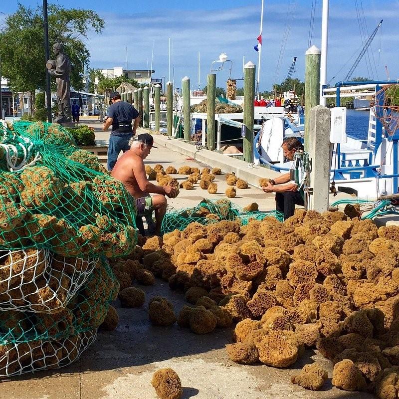 Famous sponge docks