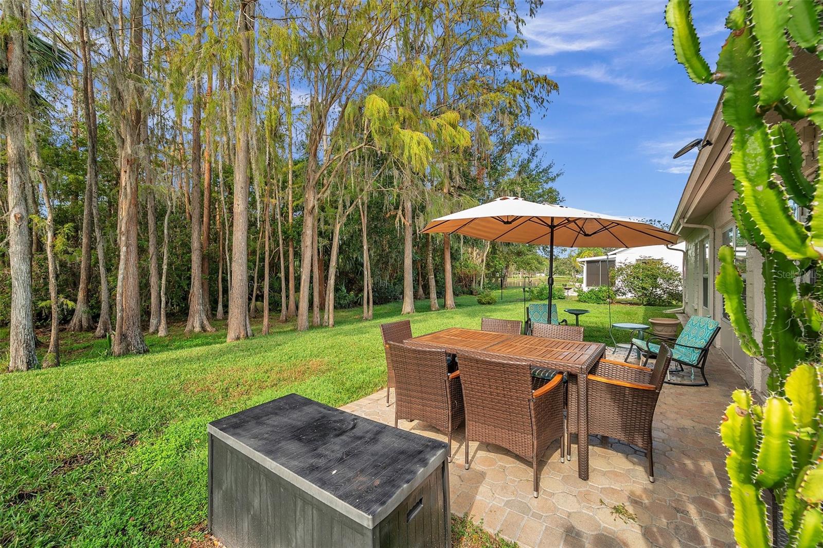 The back Patio overlooks the beautiful conservation area