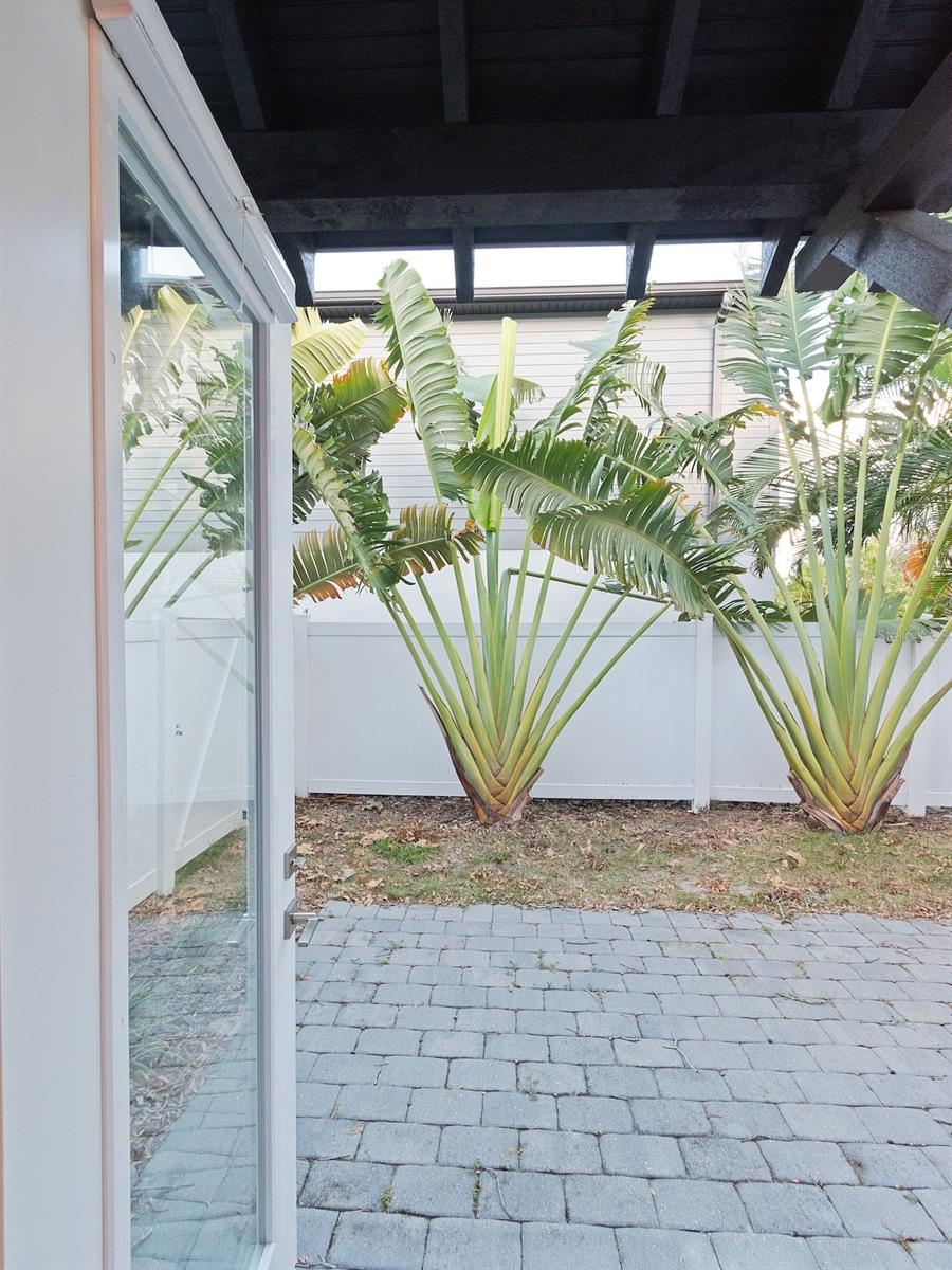 Backyard patio with vinyl fencing.