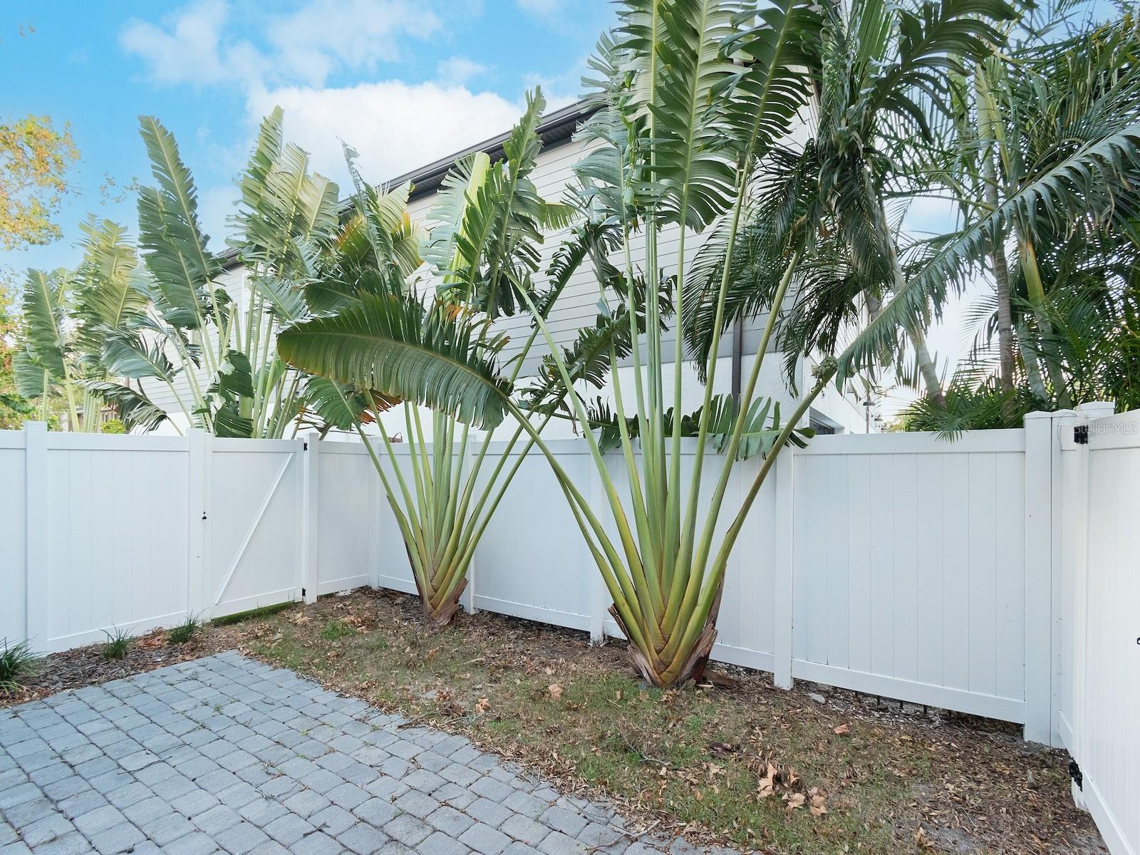 Completely fenced backyard and patio.