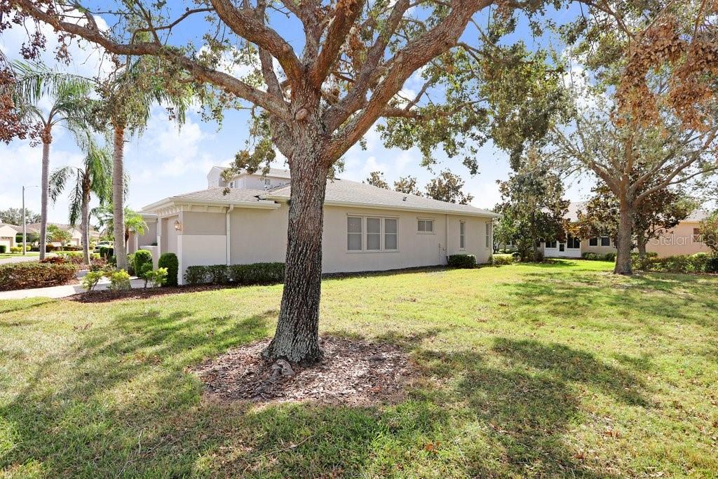 Exterior of the home with spacious side yard