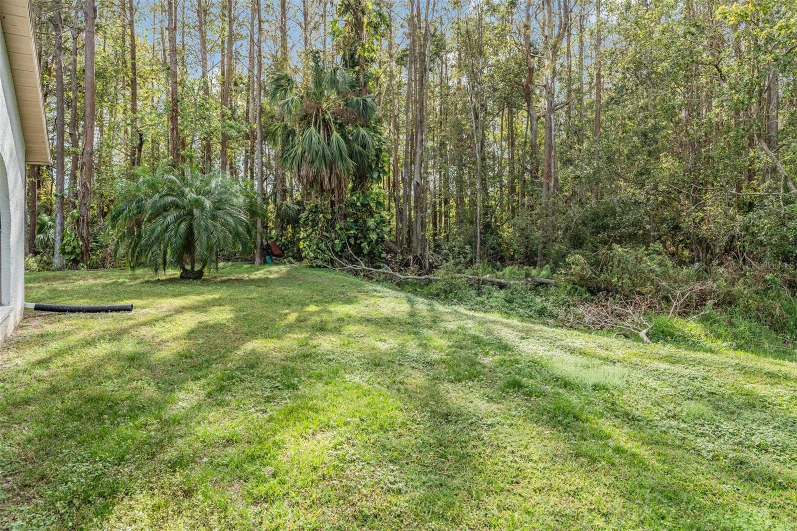 Conservation area on multiple sides of the home