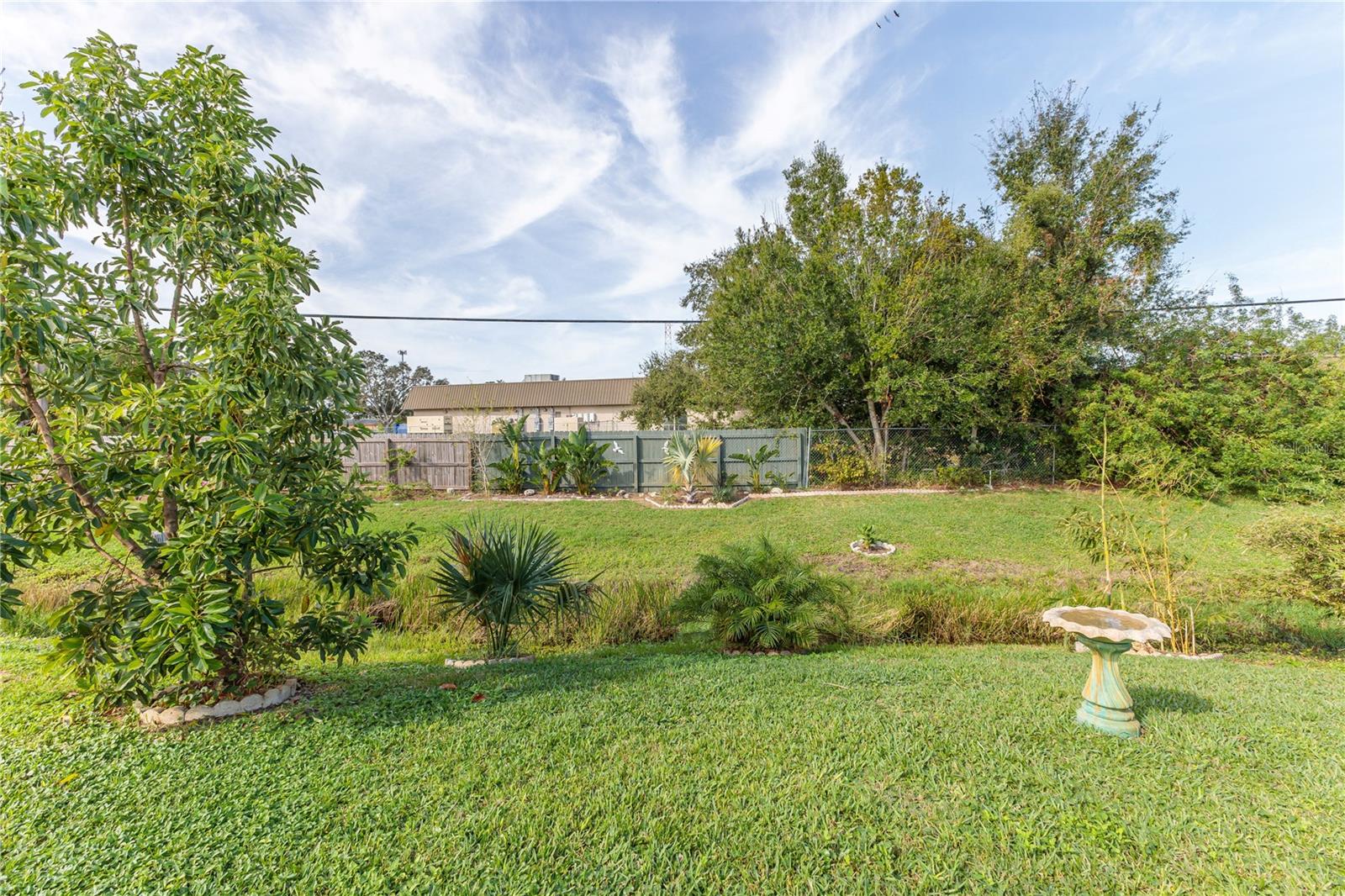 Stunning backyard oasis with so much space & privacy!