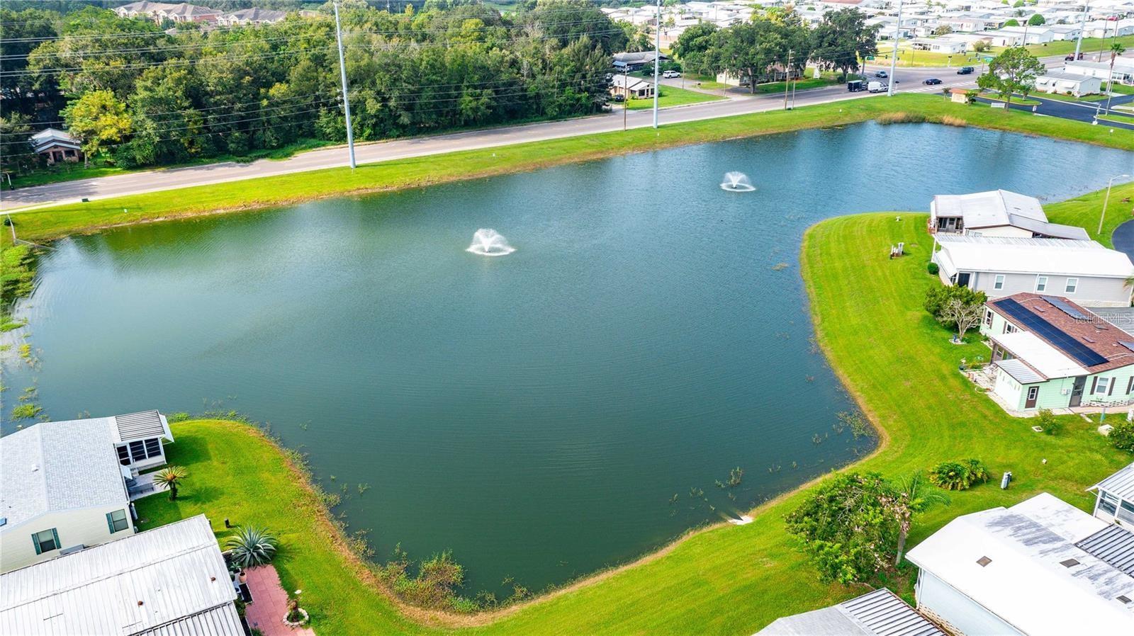 Beautiful pond view.