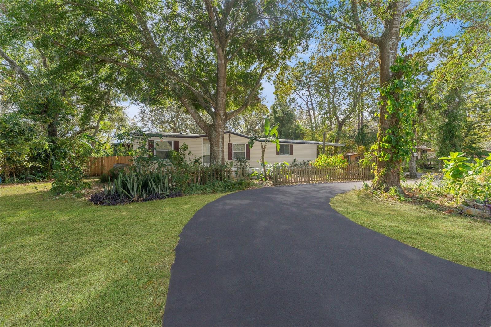 Beautiful Oak Trees and Landscaping!