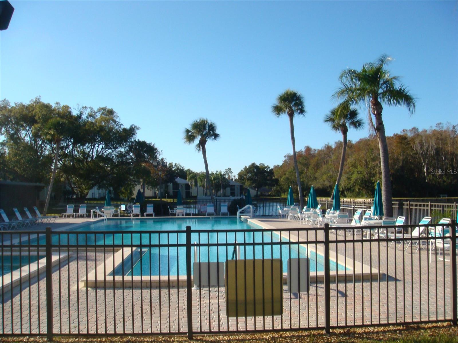 Resort Style Pool