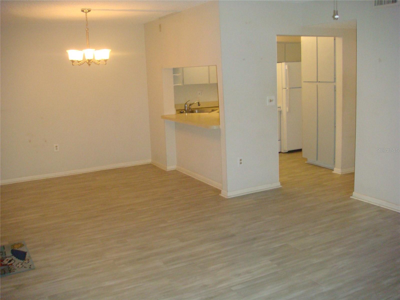 Dining Room to Kitchen