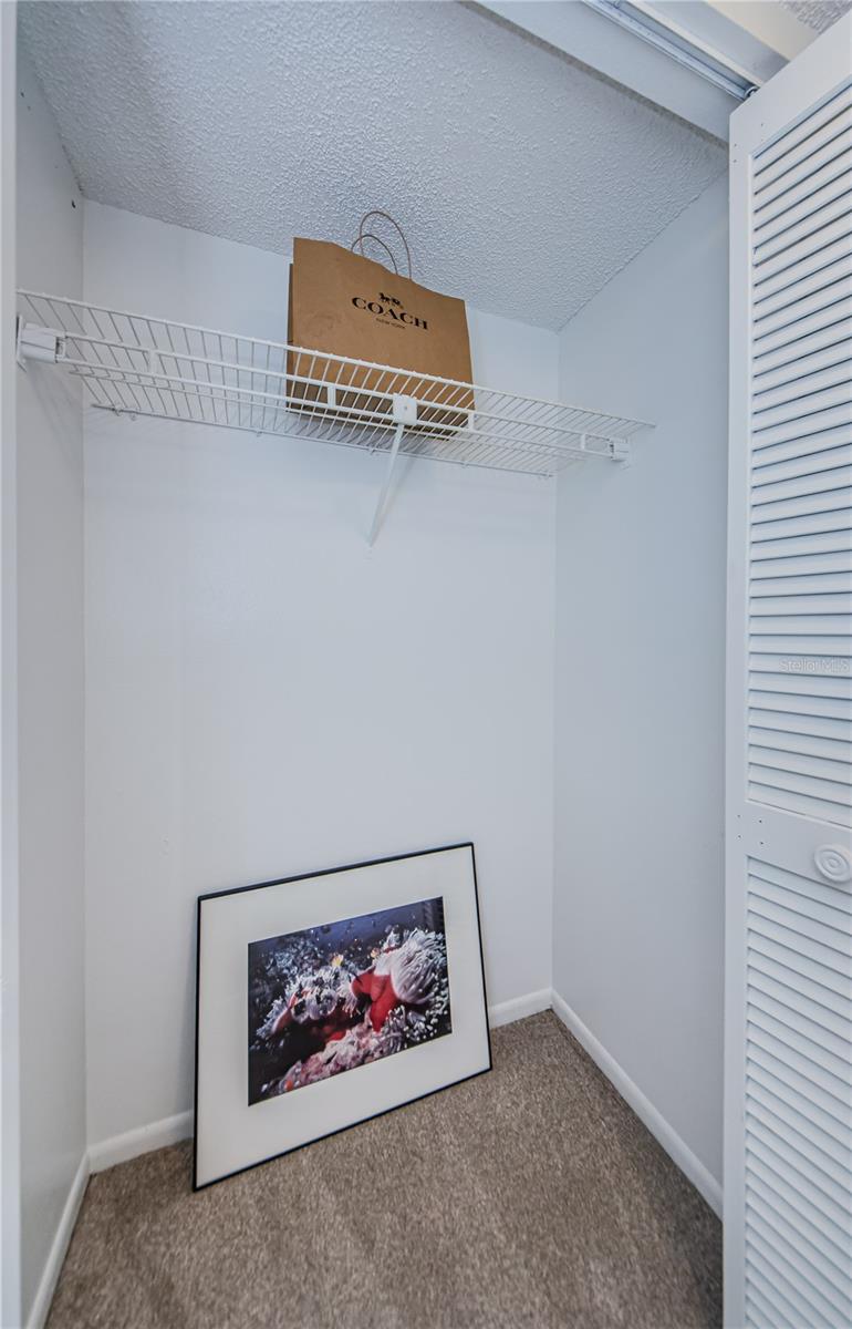 Master Bedroom offers an additional closet.