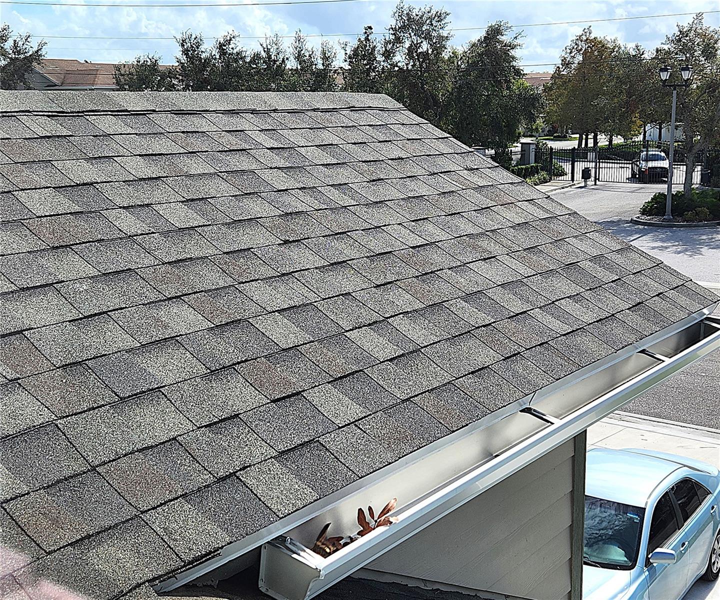 New Shingle Roof 2024