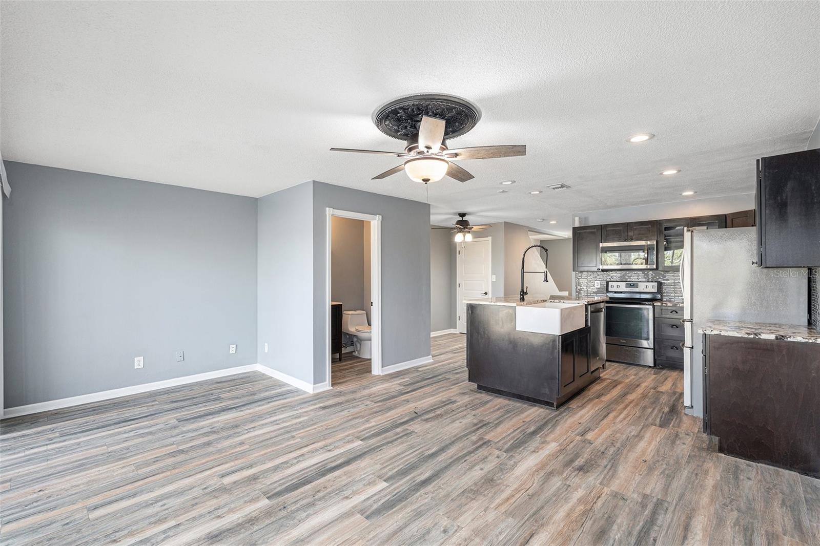 Living room and kitchen