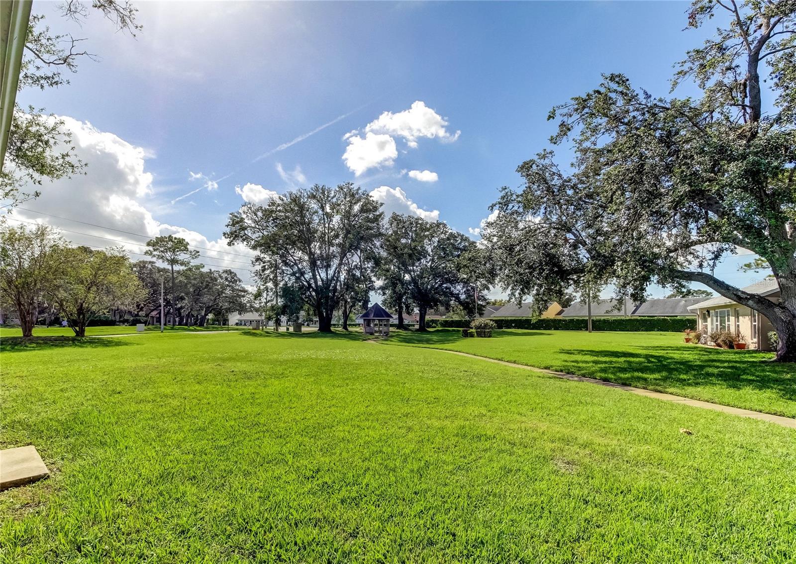 BACKYARD VIEW