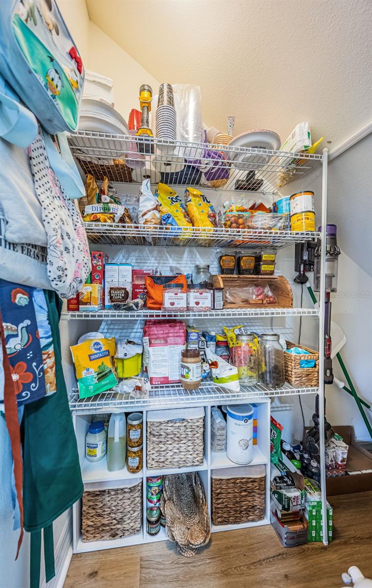 Under the stairwell Pantry