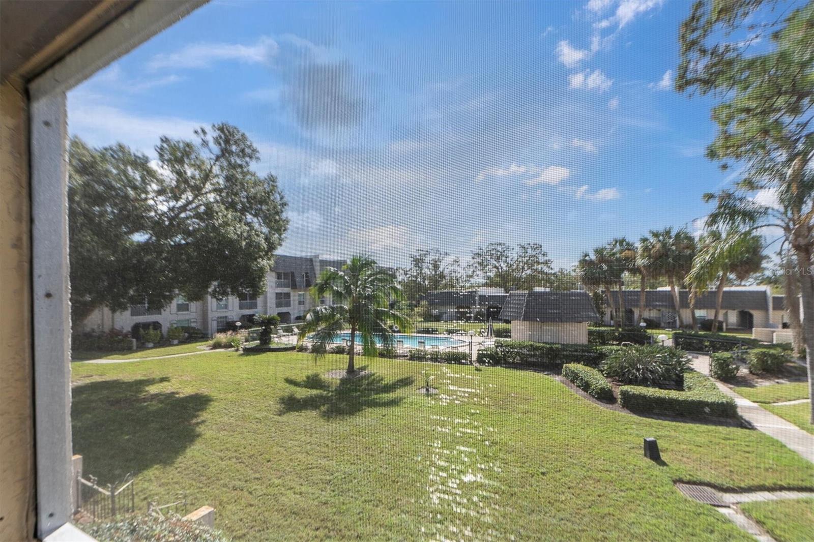 Pool view from balcony