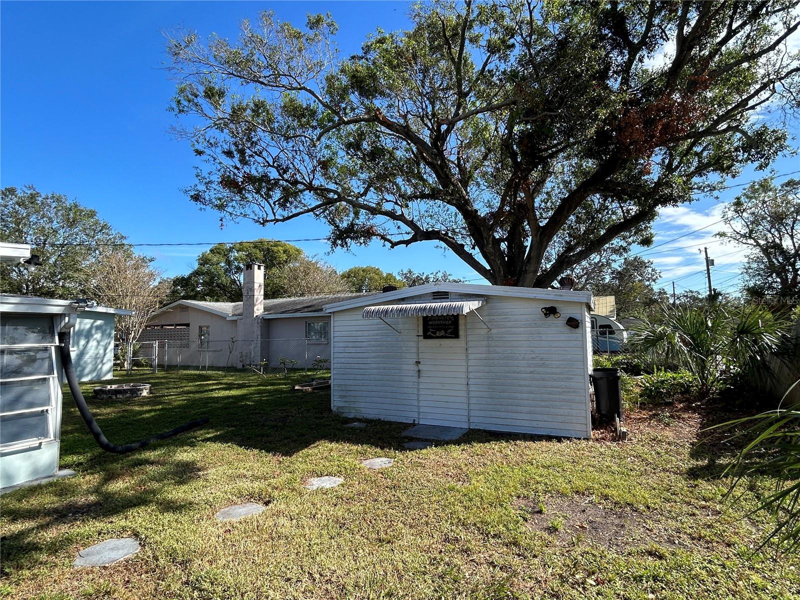 Shed & backyard