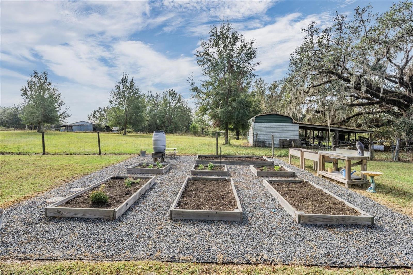 Vegetable Garden