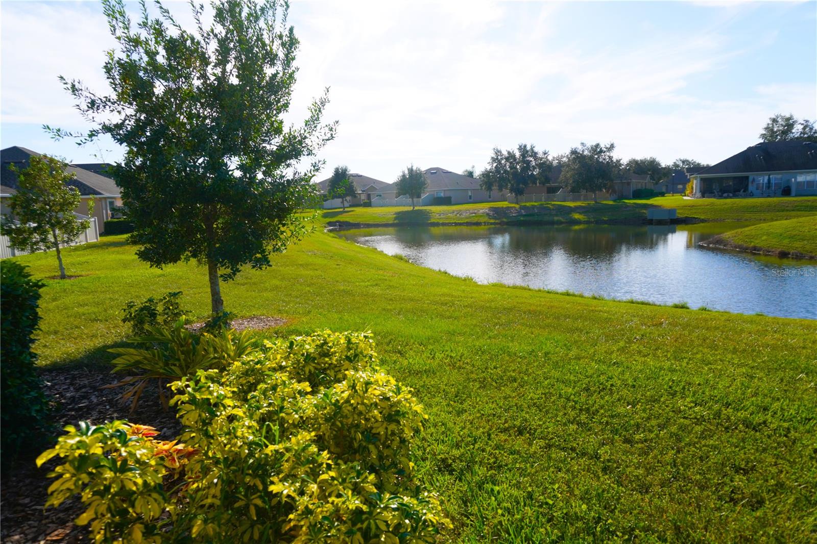 View From Patio