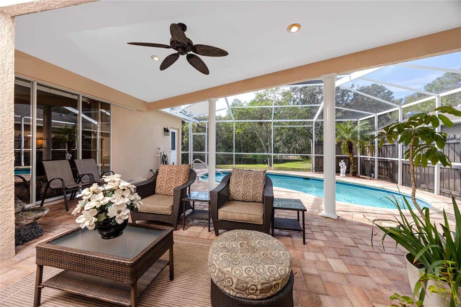 Patio and Pool deck -4466 Worthington Ct, Palm Harbor, FL 34685