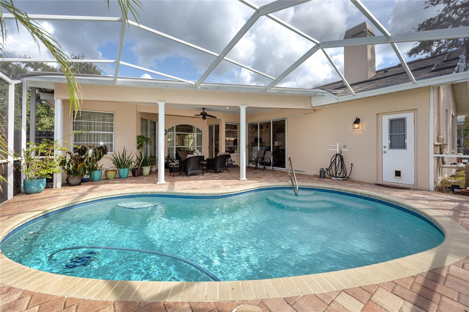 Pool and Patio -4466 Worthington Ct, Palm Harbor, FL 34685