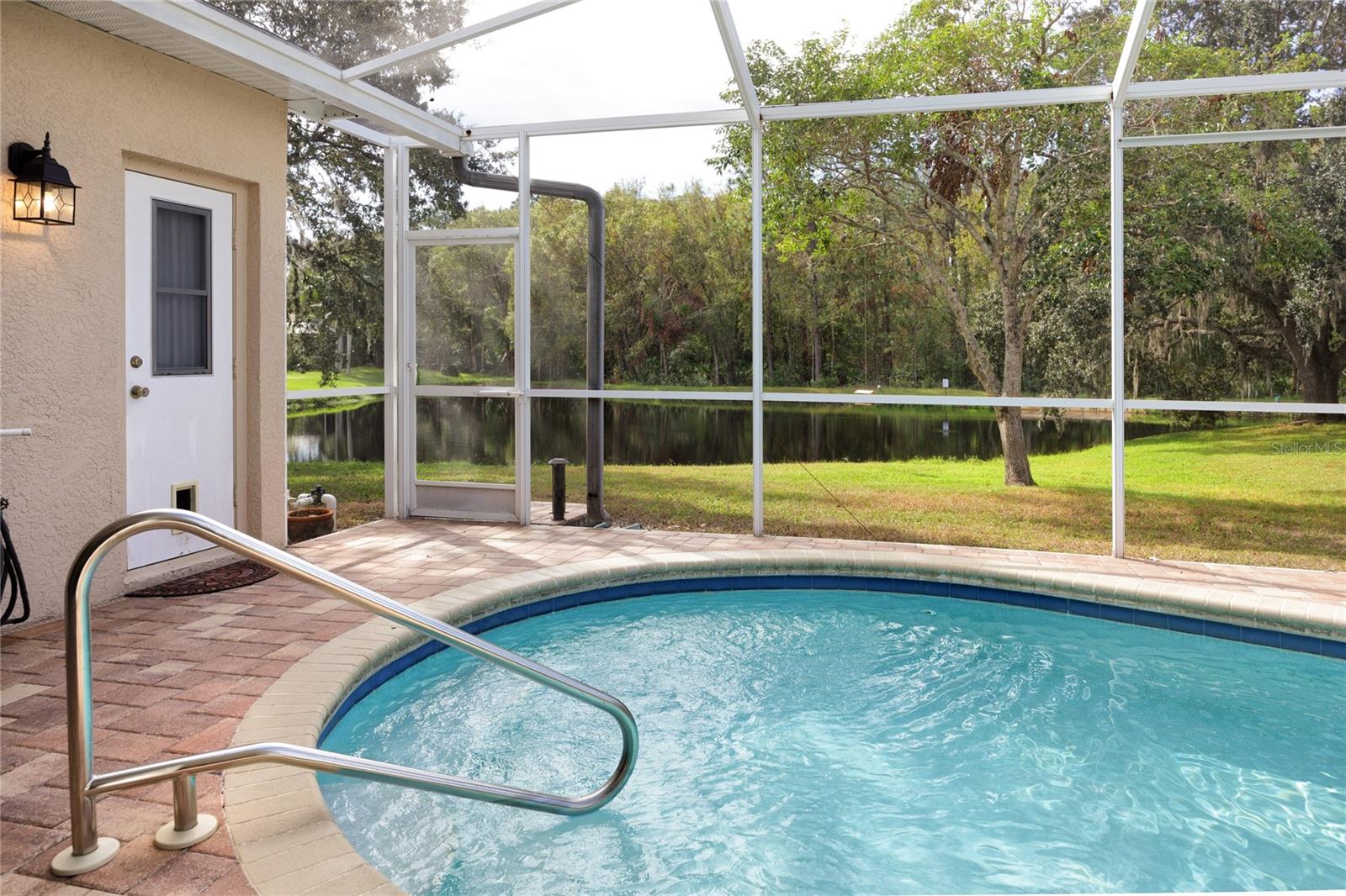 Pool with view to pond and preserve -4466 Worthington Ct, Palm Harbor, FL 34685