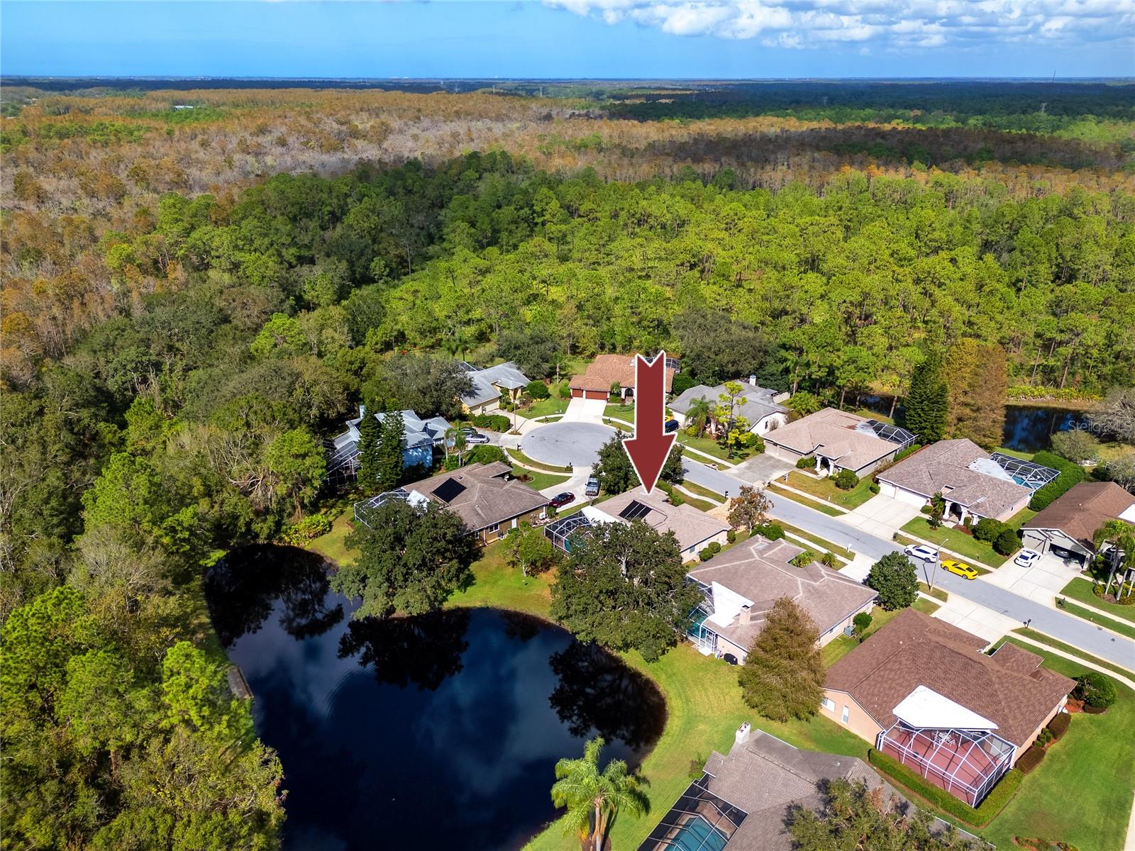 Aerial View of preserve and community -4466 Worthington Ct, Palm Harbor, FL 34685