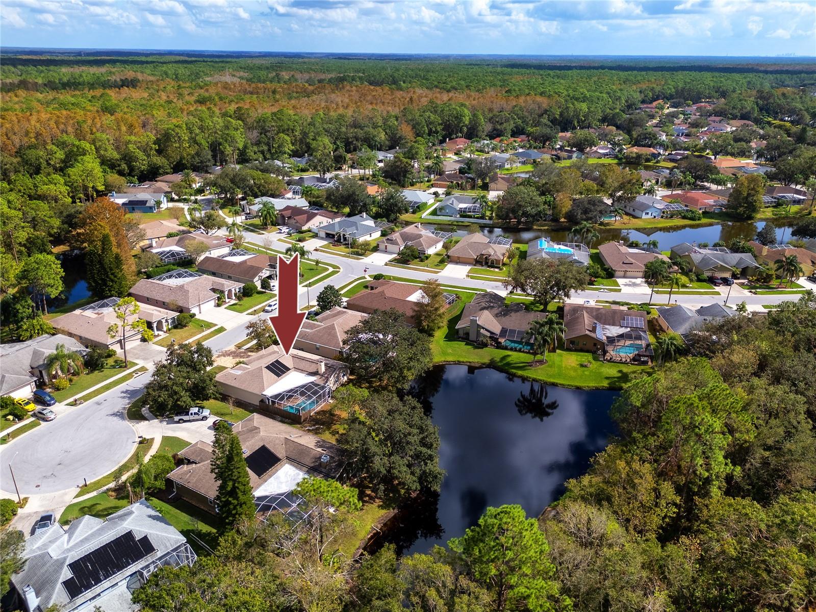 Aerial view of Windemere -4466 Worthington Ct, Palm Harbor, FL 34685